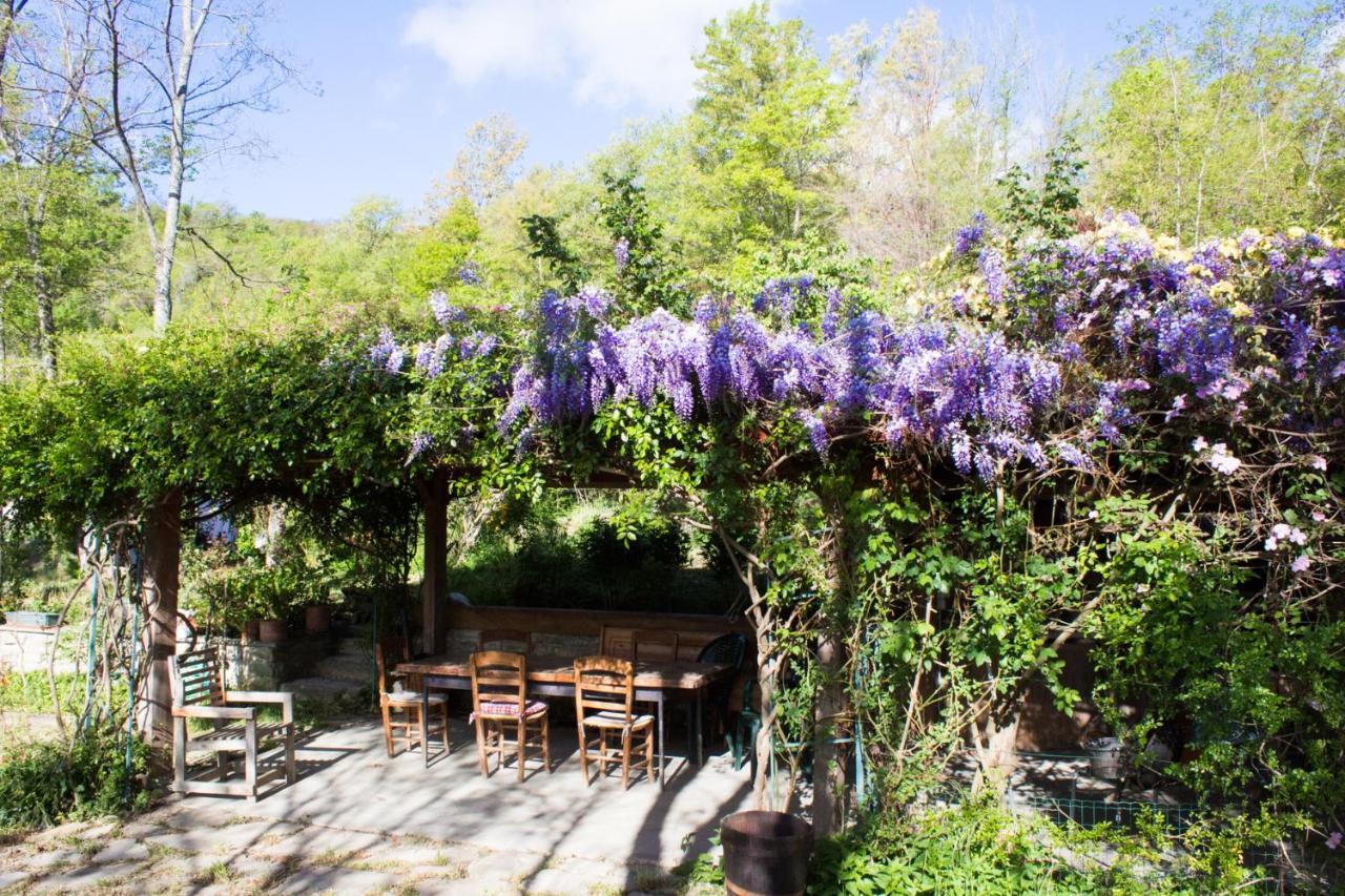 La Cavanella B&B Camugnano Экстерьер фото